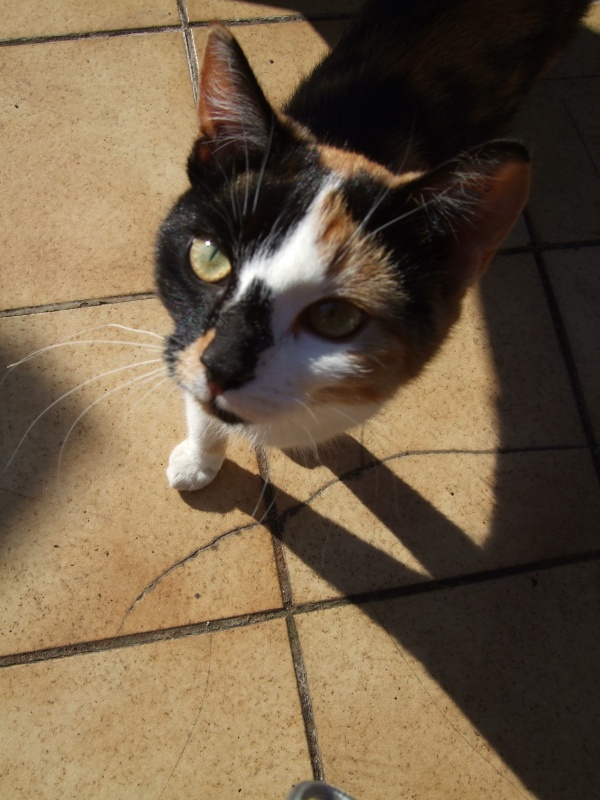 Ostern 2007 Orleshausen 037 